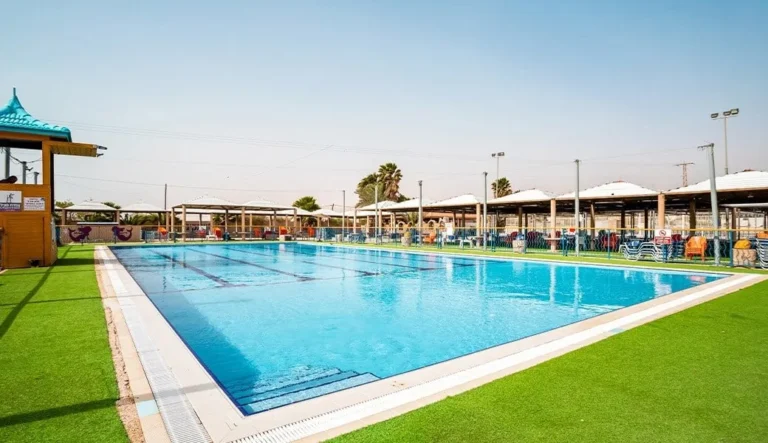 בריכת שחייה גדולה מוקפת דשא ושמשיות