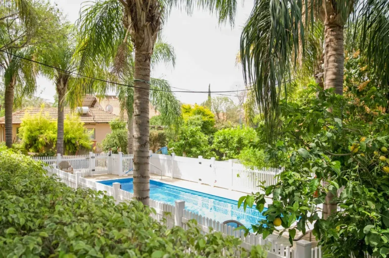 בריכה בין עצי דקל בבקתות עדן ברמות