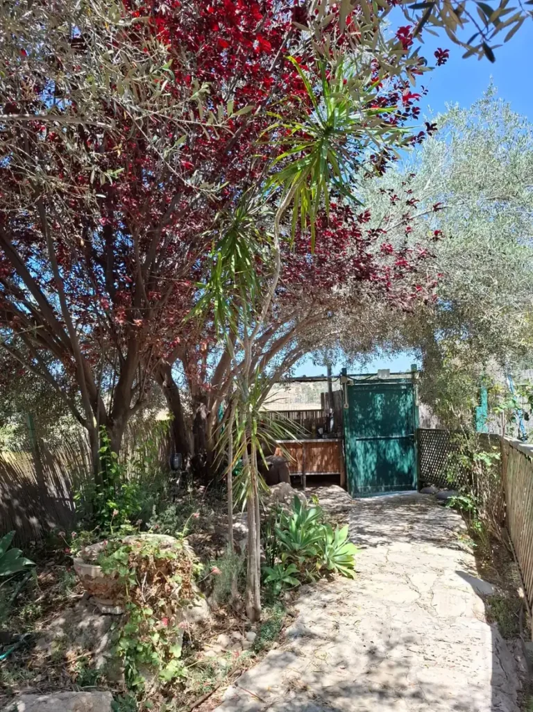 שביל אבן בגינה מתחת לעצים