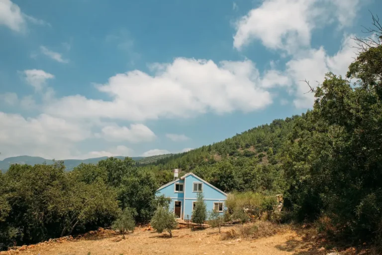הבית הכחול באמירים בין עצים ונוף הרים