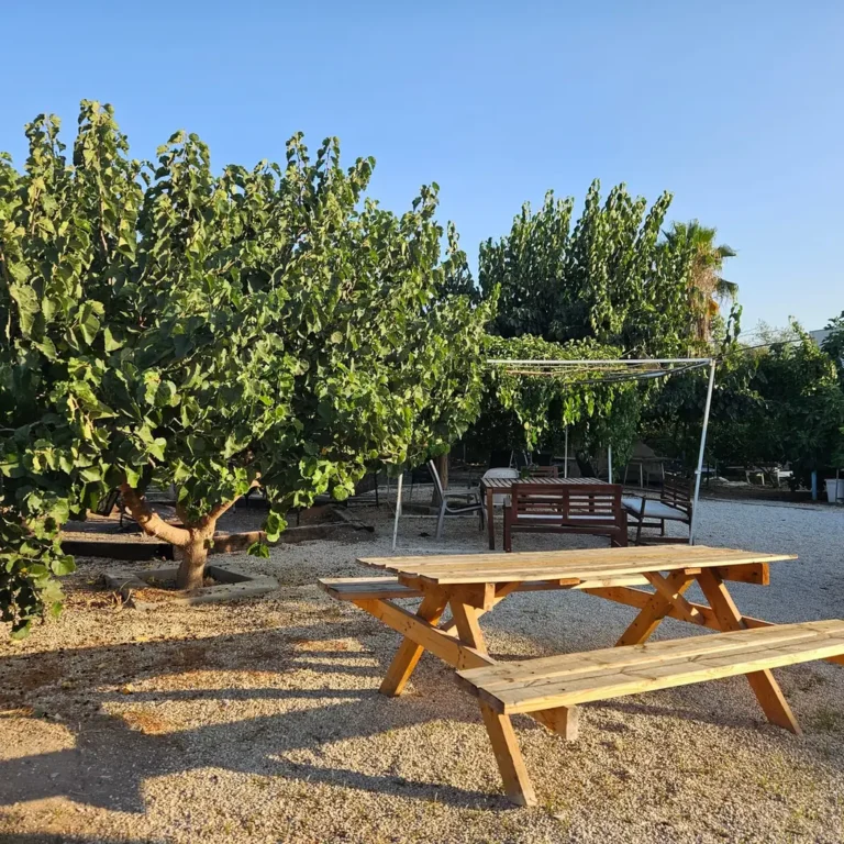 שולחנות פיקניק בין עצים בחאן בשביל היער