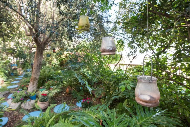 גינה מוצלת עם פנסים תלויים על העצים