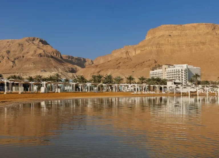 המלון על שפת ים המלח מול צוקי המדבר