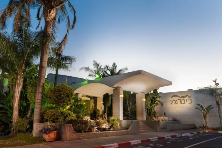 כניסת המלון בין עצי דקל בשעת ערב