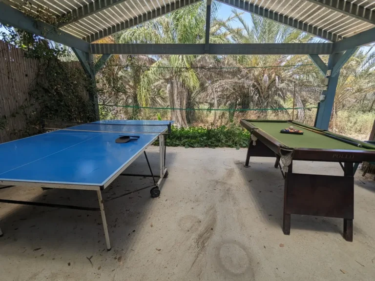 פינת משחקים מקורה עם טניס שולחן ושולחן ביליארד
